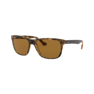 Ray-Ban RB4181 Polarized Highstreet Sunglasses