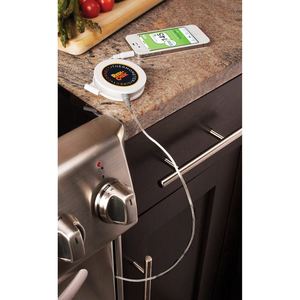 DirectConnect Roasting Thermometer