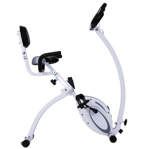 Body Rider XRB638 2-in-1 Folding Upright / Recumbent Bike