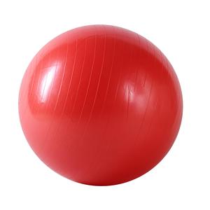 Sunny Health & Fitness Anti-Burst Gym Ball-55cm
