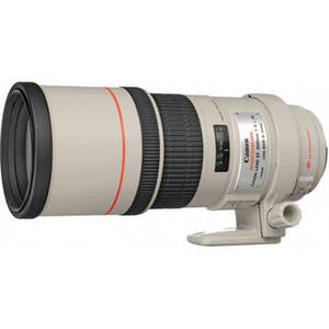 EF 300mm f/4L IS USM Lens