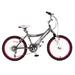 Kawasaki™ KX20G Girls 20" MTB