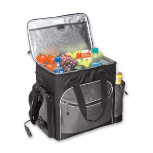 Koolatron Soft Bag Thermoelectric cooler 34 can