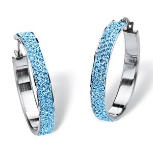 PalmBeach Jewelry Pave Birthstone Hoop Earrings in Stainless Steel