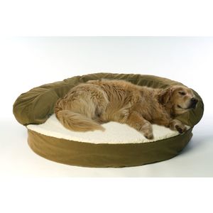 Carolina Pet Company Medium Ortho Sleeper Bolster Bed - Sage