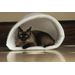 Carolina Pet Company Mysterious Kitty Kup - White