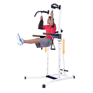 Body Power ® Multi-Functional Power Tower