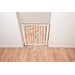 Safety 1st Auto Close Walk-Thru Gate