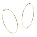 PalmBeach Jewelry Hoop Earrings in 18k Gold-Plated With Surgical Steel Posts