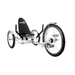 MOBO Triton Pro- The Ultimate Three Wheeled Cruiser (Silver)