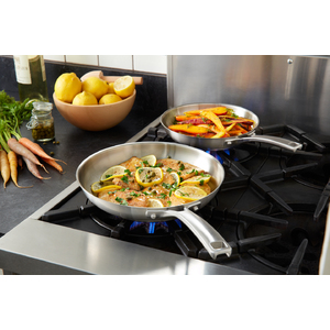 Classic Stainless Steel 8" & 10" Fry Pan Combo