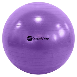 Dragonfly Yoga Ball & Pump - 55cm