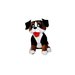 ToySource Bern the St. Bernard 43" Plush