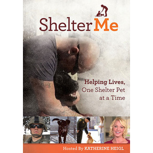 Shelter Me