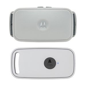 Shock-Free Training Collar w/ Remote