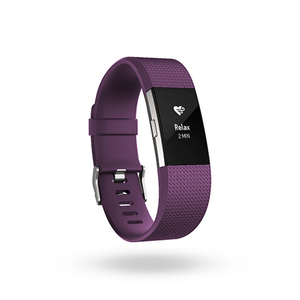 Charge 2 Heart Rate + Fitness Wristband Plum/Silver - Large