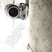 Sound of Silver - LCD Soundsystem
