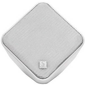 SWW SoundWare Indoor/Outdoor Speaker (White)